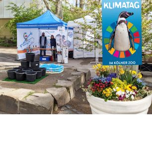Klimatag im Kölner Zoo